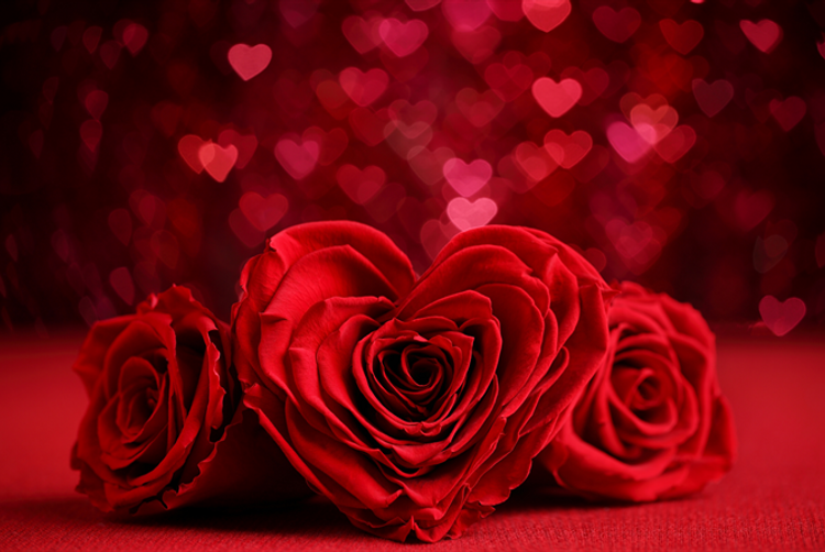 The Wilder Townhouse | Dublin | 1